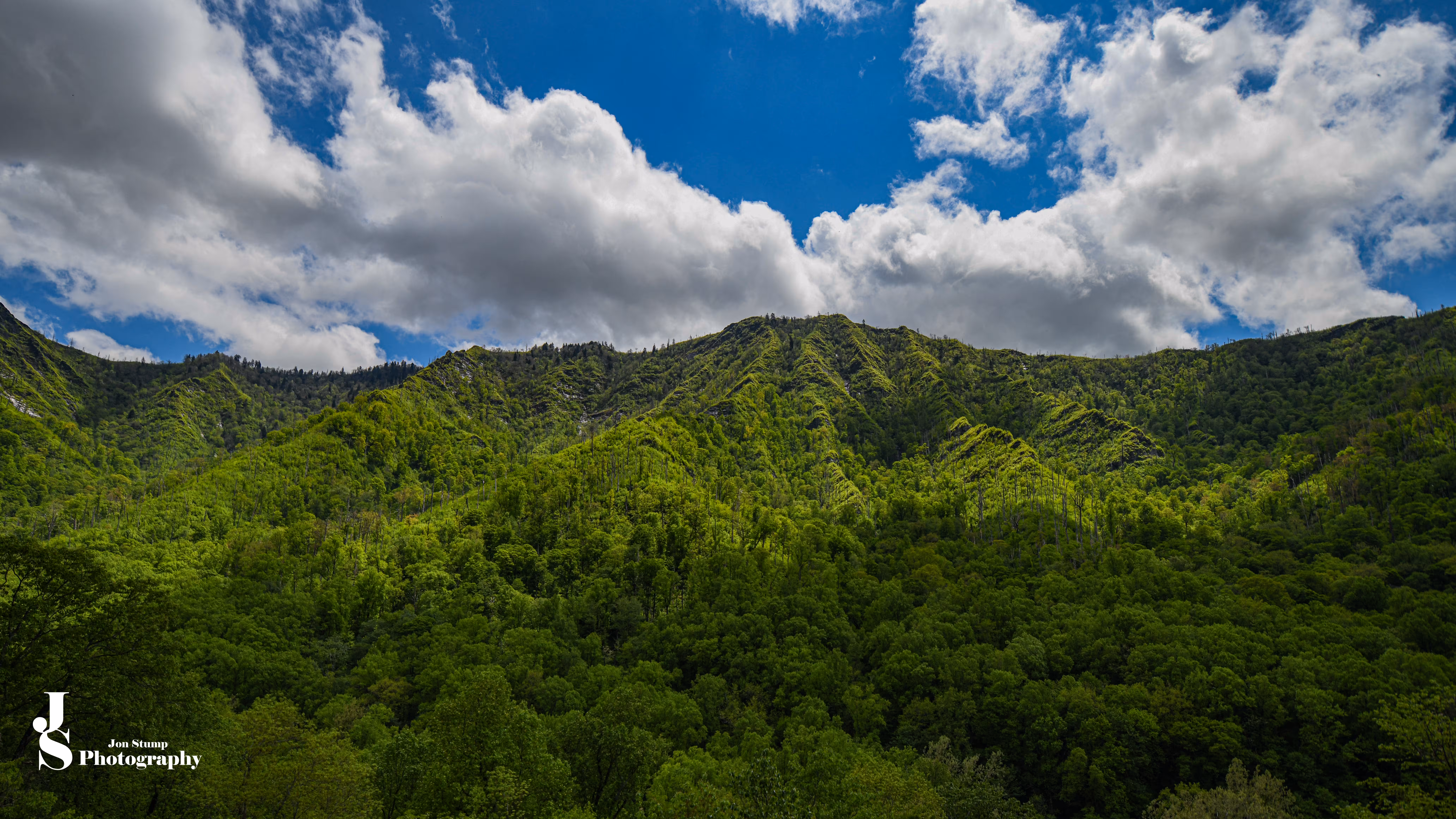 Smokey Mountains